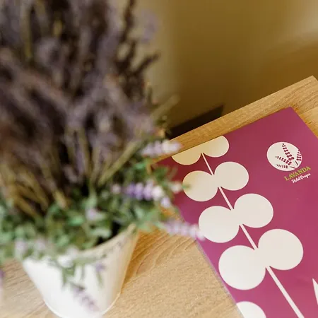 Lavanda Hotel&apartments فندق